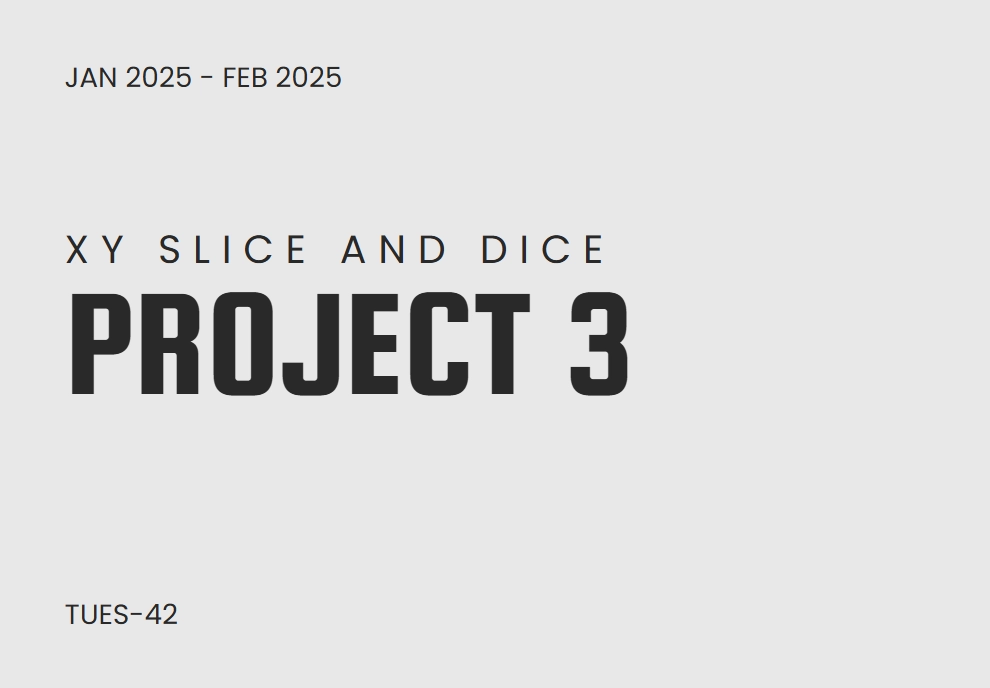 XY Slice and Dice project cover